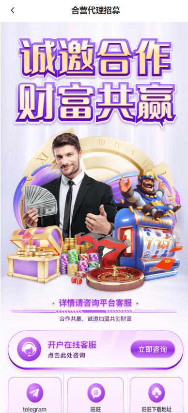 独家发布东升国际源码/东升娱乐城/综合系统/东升国际官网 商品图片 18