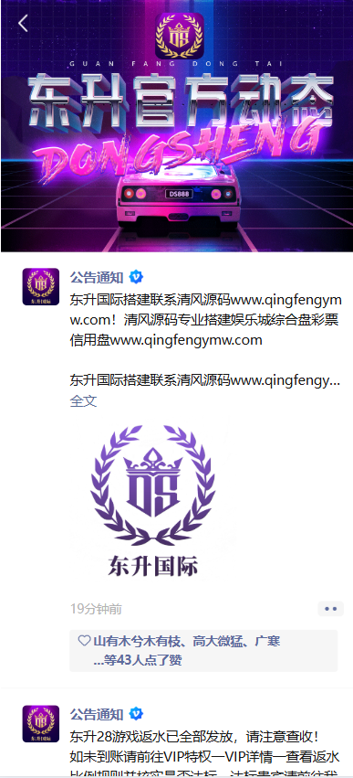 独家发布东升国际源码/东升娱乐城/综合系统/东升国际官网 商品图片 15